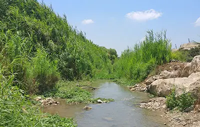 תיאור מסלול עין אביאל