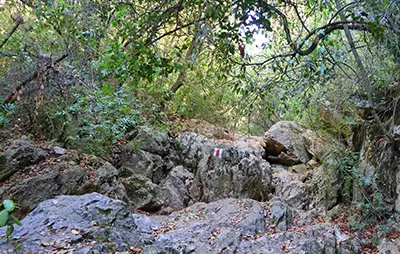 סימון מסלול נחל נשר