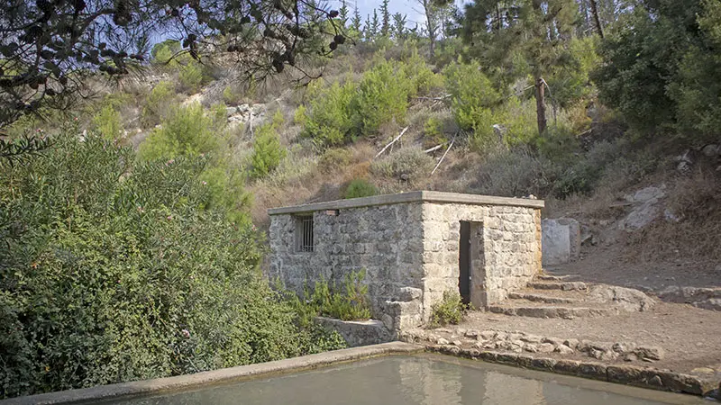 עין אלון כרמל