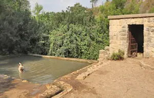 מסלול טיול למעיין עין אלון בכרמל