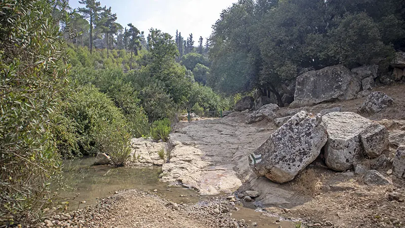 מסלול הליכה אל עין אלון