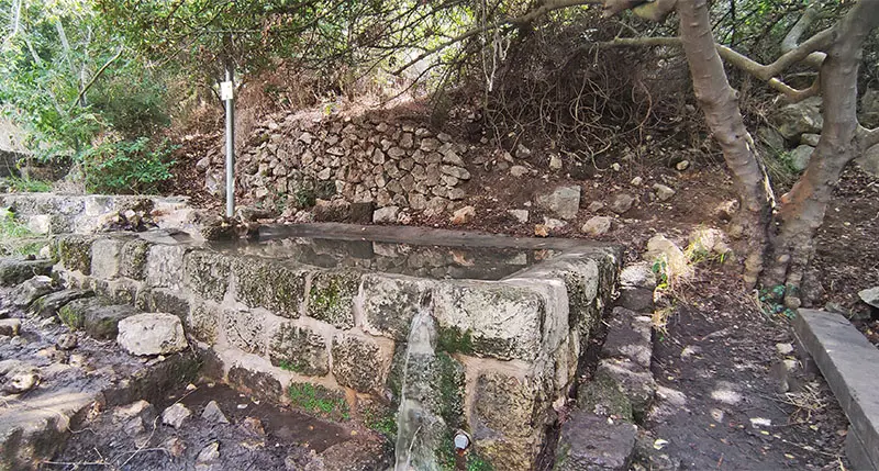 מעיין עין איילה