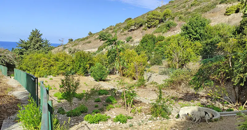נחל שיח בוסתן כיאט