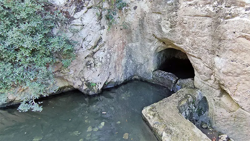 עין משוטטים