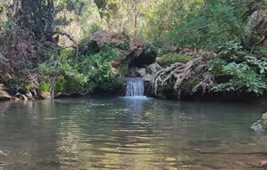 נחל בצת מפל