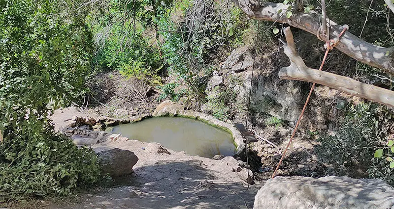 מעיין התאנה בנחל אחוזה
