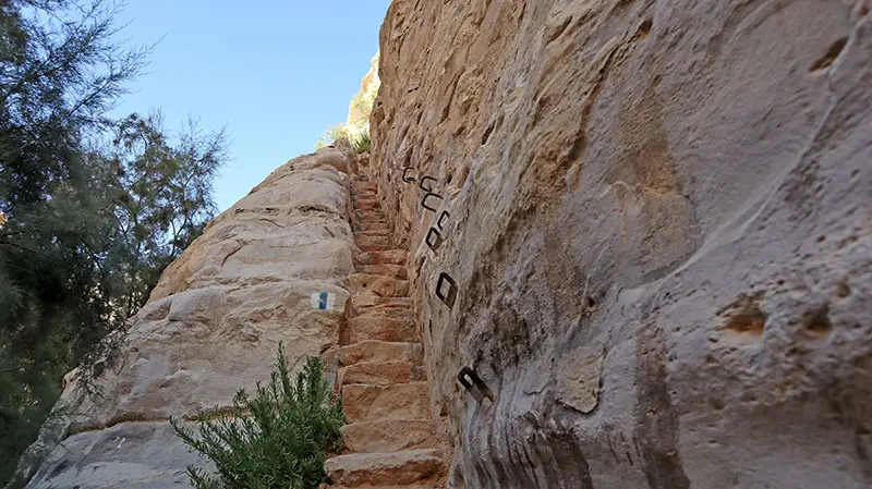 מדרגות חצובות באבן בעין עבדת