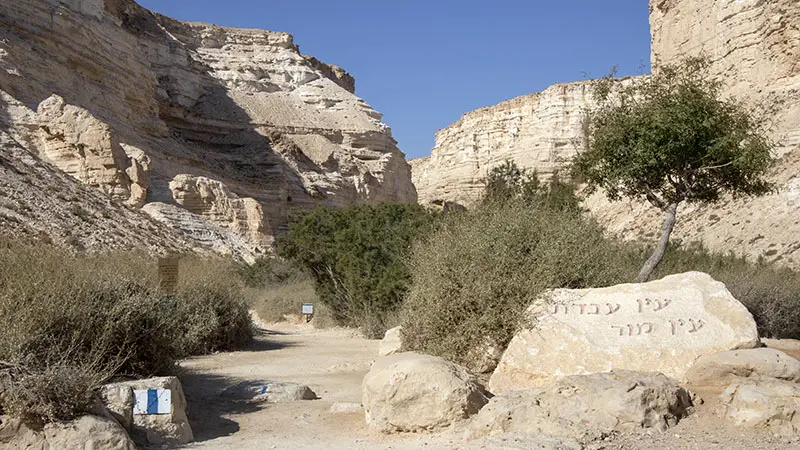 מסלול טיול כחול בעין עבדת