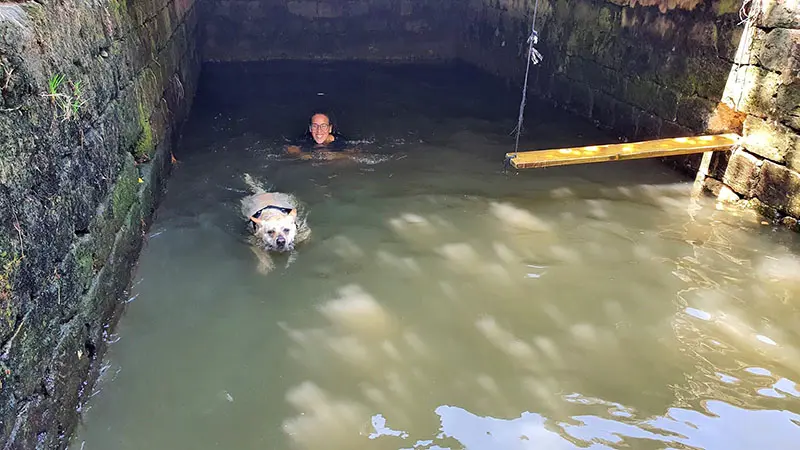 רחצה בעין חזין עין אורן