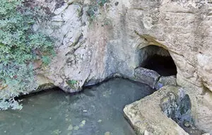 עין משוטטים מעיין בחיפה