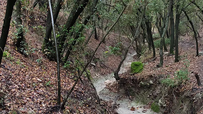 מסלול שביל הבאר ביער חניתה
