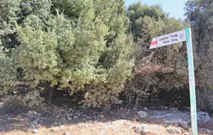 שלט תחילת שביל הפסגה של הר מירון