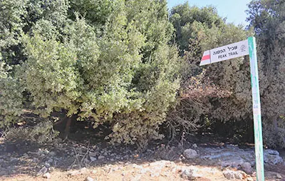 שלט תחילת שביל הפסגה של הר מירון