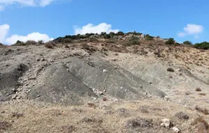 שמורת טוף כרם מהר"ל