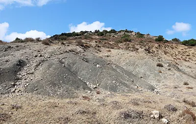 שמורת טוף כרם מהר"ל