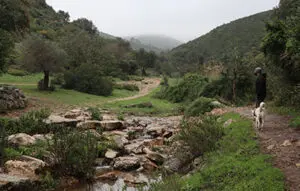 מסלול טיול חורפי בנחל אורן