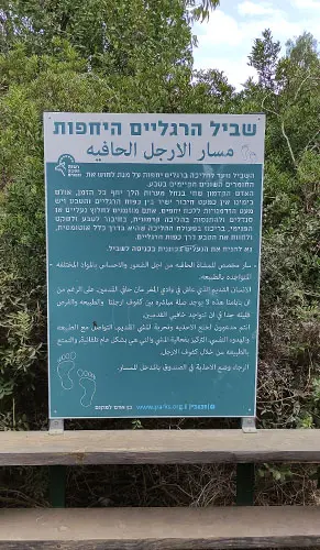 הסבר על שביל הרגליים היחפות