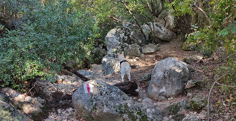 נחל ספונים שביל אדום