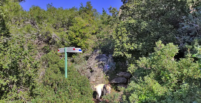 פיצול שבילים נחל ספונים ומצוק מגדים