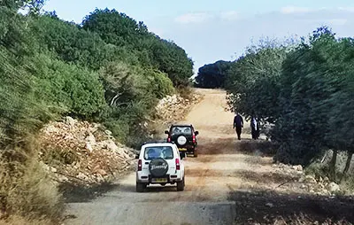 דרך נוף הכרמל ג'יפים