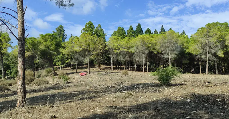 דרך נוף הכרמל