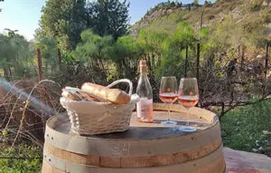 יקבים מומלצים בארץ