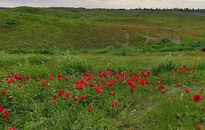 שמורת בתרונוח רוחמה