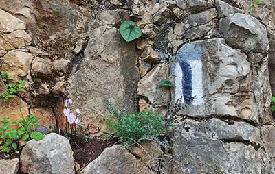 מסלול טיול נחל עמירם חיפה