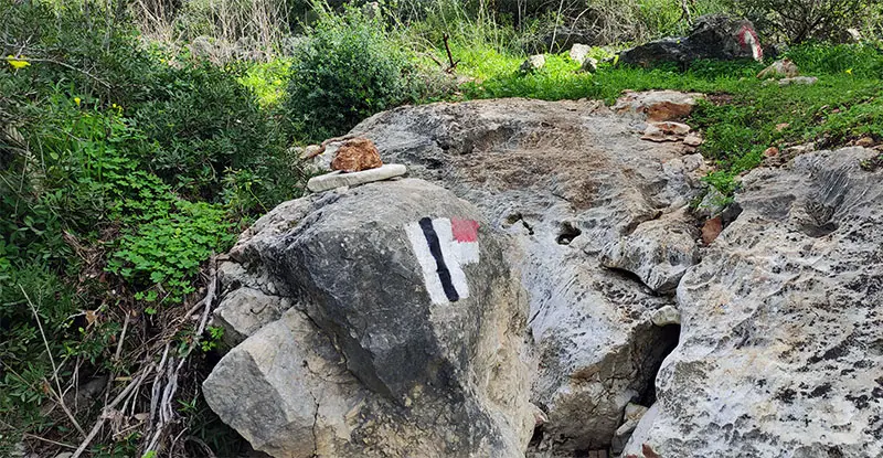 פיצול שבילים בנחל עמירם בחיפה