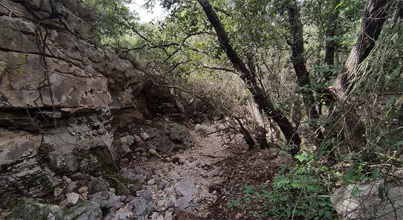 נחל עמירם מצוקי אבן