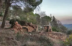 עתיקות ביער הסטף