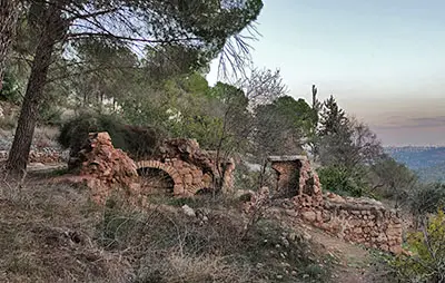 עתיקות ביער הסטף