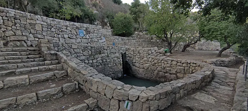 עין סטף יער הסטף