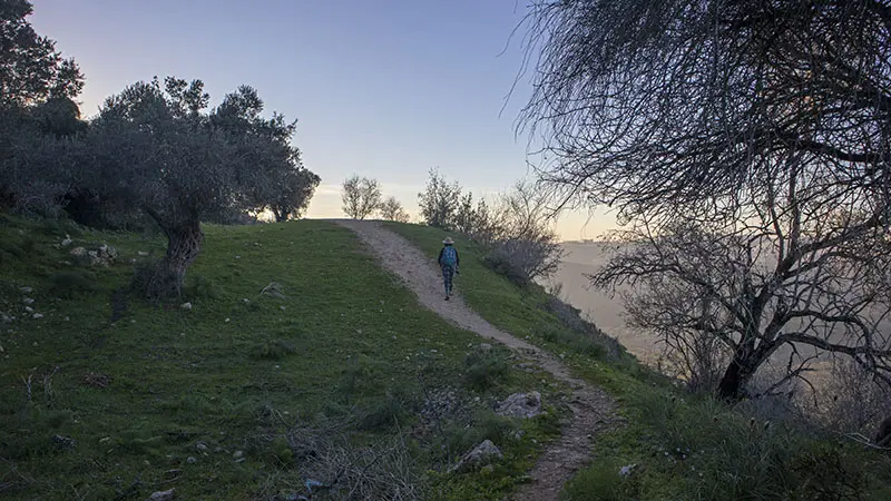 שביל הליכה בפסגת הר תבור