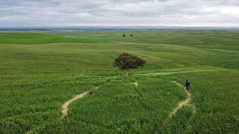 בתרונות רוחמה בפברואר