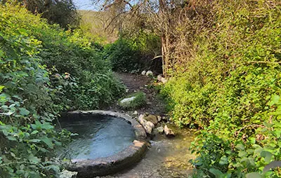 מעיין האולמוסים