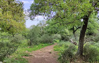 שמורת אלוני אבא