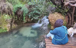 מעיין עין אוראי