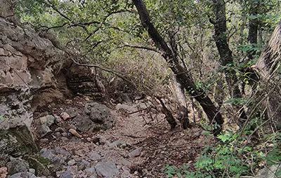 ואדיות חיפה