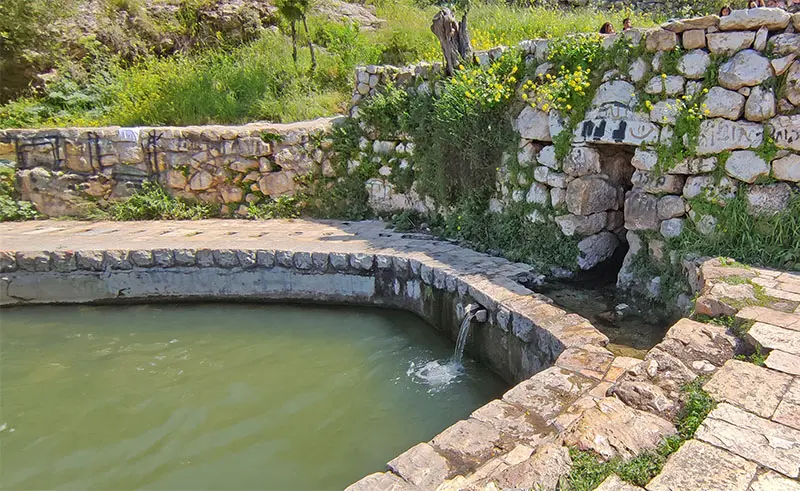 מעיין ליפתא בריכה חיצונית
