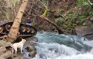 הטנק הסורי בבניאס