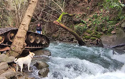 הטנק הסורי בבניאס