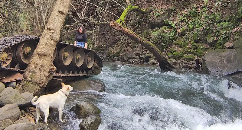 הטנק הסורי ההפוך בבניאס