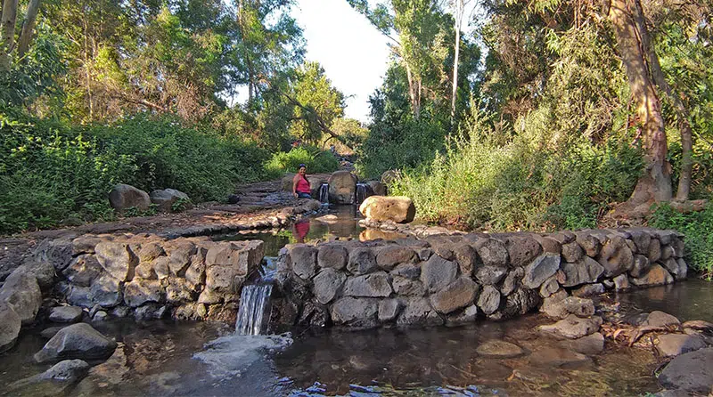 מעיינות סלוקיה ליד קצרין