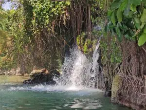 המפל הנסתר בכנרת