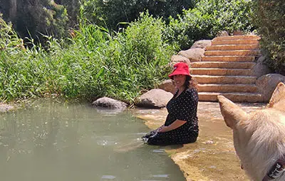 בריכת גדעונה כלבים