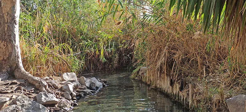 מעיין עין הדייג