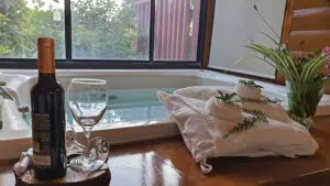 סוויטת עץ זוגית עין חרוד