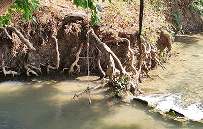 פארק הזהב בריכות שכשוך