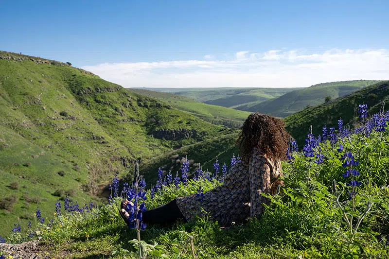 בלוגרית טיולים בנחל תבור עם תורמוס כחול